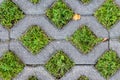 Concrete tile with holes for grass growth