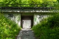 Concrete underpass footpath in the forest