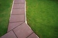 Concrete walk pathway and green grass