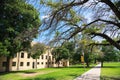 Concrete walkway canopy tree, light pole banners and student walking along, historic buildings large college campus in Texas,