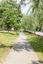 Concrete walkway through the park with trees on a sunny spring day Royalty Free Stock Photo
