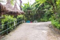 Concrete walkway in tropical garden Royalty Free Stock Photo