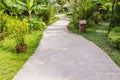 Concrete walkway in tropical garden Royalty Free Stock Photo