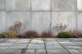 Concrete Wall with Autumn Plants Royalty Free Stock Photo