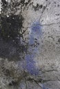 Concrete wall with black mold wallpaper texture