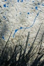 Concrete wall with drops of blue paint and a shadow from the grass Royalty Free Stock Photo