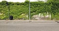 Concrete wall almost fully covered by creeping plants, metallic poles, cement sidewalk and asphalt road in front. Royalty Free Stock Photo