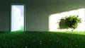Concrete wall with grass and flower floor in empty room and sunlight shadow effect on wall 3D rendering Royalty Free Stock Photo