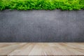 Concrete wall or marble wall and wooden floor with ornamental plants or ivy or garden tree. Royalty Free Stock Photo