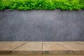 Concrete wall or marble wall and wooden floor with ornamental plants or ivy or garden tree Royalty Free Stock Photo