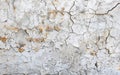 A concrete wall, marred by rust stains and crackled paint, tells a story of exposure to the elements. The texture is a