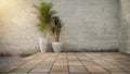 Concrete wall and Plant in pot on stone flooring tile, background. Place for your product Royalty Free Stock Photo