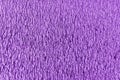 Concrete wall surface with uneven roughness. purple for background