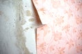 Concrete wall. Wall with tattered wallpaper. The concept of removing wallpaper and starting renovation Royalty Free Stock Photo