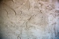 Concrete wall texture close-up. Plaster wall background. Royalty Free Stock Photo