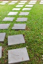 The concrete way in a grass garden