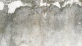 Concretewall texture with lichen Royalty Free Stock Photo