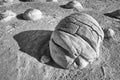 Concretion boulder Royalty Free Stock Photo