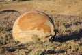 Concretion, Molen Reef, Utah Royalty Free Stock Photo