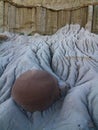 Concretion, Theodore Roosevelt National Park, North Dakota Royalty Free Stock Photo