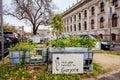 Condell Growers and Sharers Community Garden