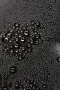 Condensate of water macro photo