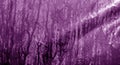 Condensation drops on PVC wrap in purple color. Royalty Free Stock Photo