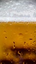 Condensation drops on the walls of a glass of chilled beer