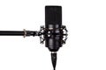 Condenser microphone on a microphone stand, close-up. Royalty Free Stock Photo