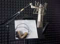 Condenser microphone in recording room Royalty Free Stock Photo