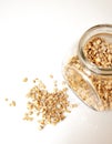 Condiment. Dried parsley root. Spices loose and in a glass jar