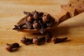 Condiment or medicinal plant - clove Syzygium aromaticum