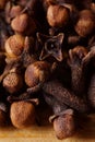 Condiment or medicinal plant - clove Syzygium aromaticum