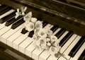 Condolence card - flower on piano Royalty Free Stock Photo