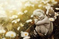 Condolence card with little angel sleeping among flowers Royalty Free Stock Photo