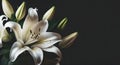 Condolence card with white lily flowers isolated on black background, copy space