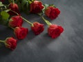 Condolence card with Red Roses on grey background Royalty Free Stock Photo