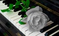 Condolence card - rose on piano Royalty Free Stock Photo