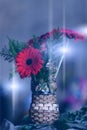 Condolence flower sympathy card. Remembrance day Mourning memorial funeral peace crematorium concept. Close up vase gerbera on Royalty Free Stock Photo