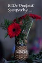 Condolence flower sympathy card. Remembrance day Mourning memorial funeral peace crematorium concept. Close up vase gerbera on Royalty Free Stock Photo