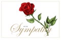 Condolences sympathy card floral red roses bouquet and lettering Royalty Free Stock Photo