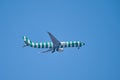 Condor airline plane with green and white stripes over Mainz-Hechtsheim, shortly before landing in Frankfurt am Main