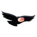 condor bird flying cartoon Royalty Free Stock Photo