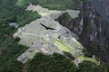 Condor on machu pichu Royalty Free Stock Photo