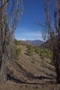 Condor Trail in Parque Yerba Loca, Chile