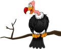 Condor Or Vulture Cartoon Character Sitting On A Branch