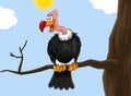 Condor Or Vulture Cartoon Character Sitting On A Branch Royalty Free Stock Photo