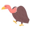 Condor vulture icon cartoon vector. Animal bird