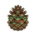Cone is depicted in brown and green featuring layered scales with sharp Royalty Free Stock Photo