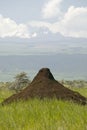 Cone head termite mound in foreground with Mnt. Kenya in the background at Lewa Wildlife Conservancy, North Kenya, Africa